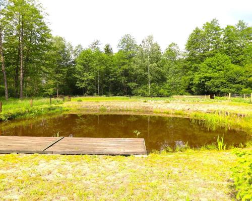 Działka budowlana, staw, ogrodzenie