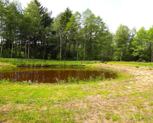 Działka budowlana, staw, ogrodzenie