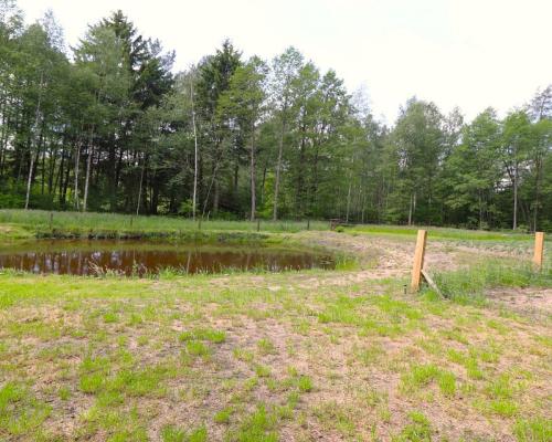 Działka budowlana, staw, ogrodzenie