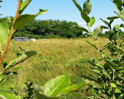 Działka budowlana 1458 m2