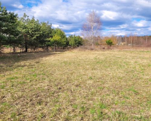 Oaza spokoju w Sowlanach.