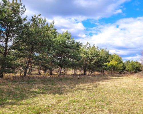 Oaza spokoju w Sowlanach.