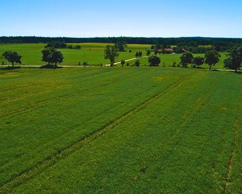 Działka budowlana na Szlaku WJM - jezioro Harsz.