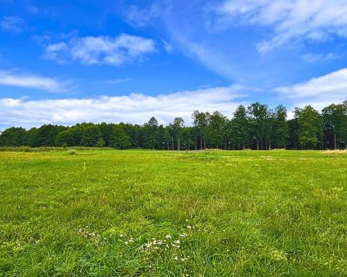 Działka budowlana na Szlaku WJM - jezioro Harsz.