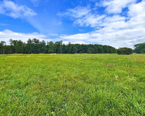 Działka budowlana na Szlaku WJM - jezioro Harsz.