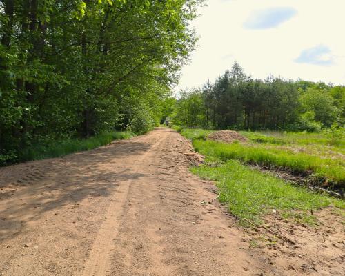 Działka w środku lasu