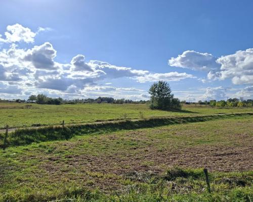 Działka inwestycyjna 2,2 ha