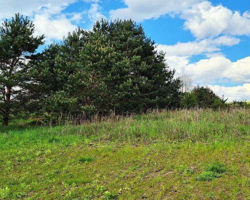 Działka rolno-budowlana 5528 m2