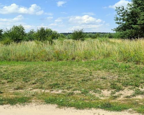 Działka rolno-budowlana 5528 m2