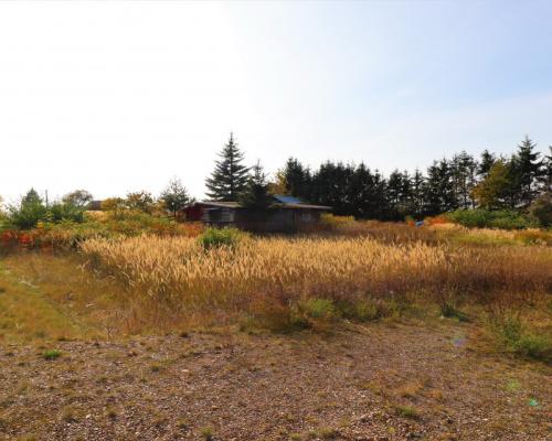 Działka usługowa w Augustowie