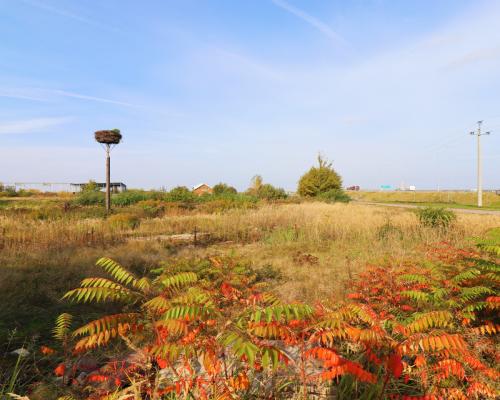 Działka usługowa w Augustowie