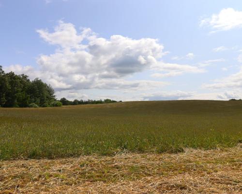 Działka rolno-budowlana Garbas II 5,5 ha