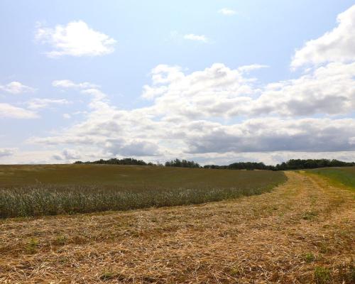 Działka rolno-budowlana Garbas II 5,5 ha