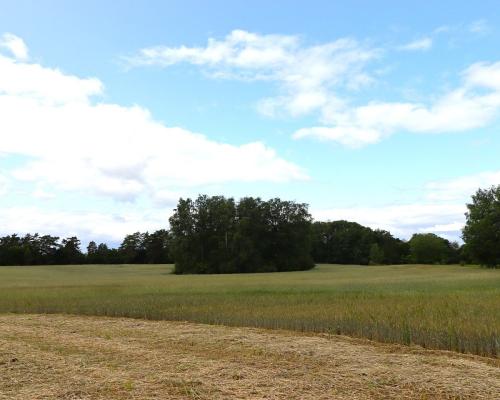 Działka rolno-budowlana Garbas II 5,5 ha