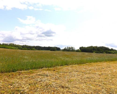 Działka rolno-budowlana Garbas II 5,5 ha