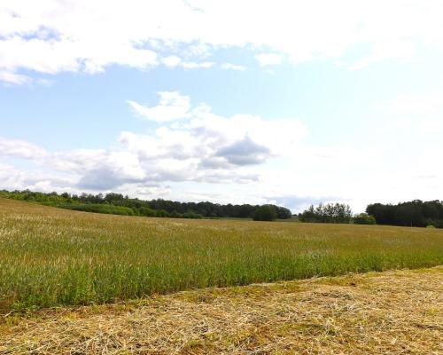 Działka rolno-budowlana Garbas II 5,5 ha