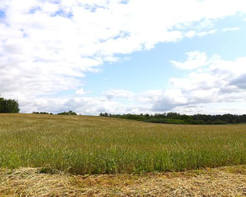 Działka rolno-budowlana Garbas II 5,5 ha
