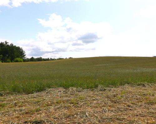 Działka rolno-budowlana Garbas II 5,5 ha