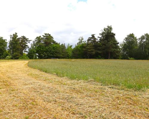 Działka rolno-budowlana Garbas II 5,5 ha