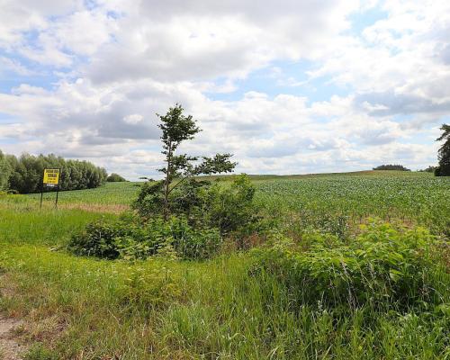 Działka budowlana na Mazurach Rożyńsk Wielki