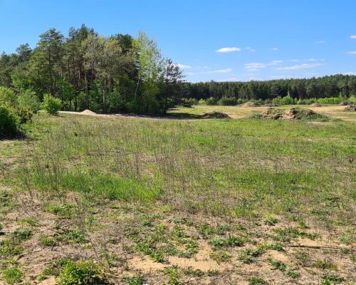 Działka przemysłowa 0,34 ha pod Wasilkowem