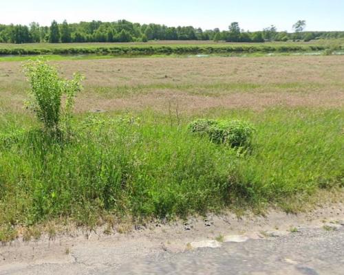 Działka rekreacyjna nad Narwią