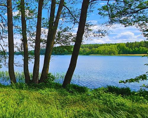 Działka budowlana z dostępem do jeziora.