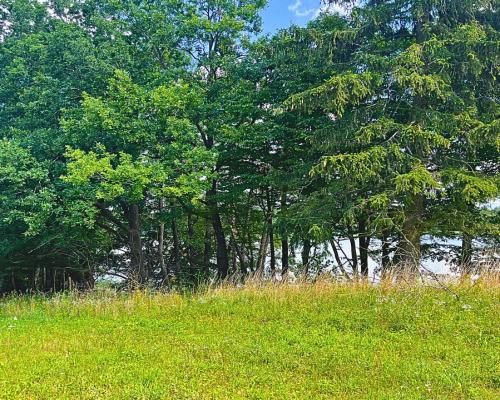 Działka budowlana z dostępem do jeziora.