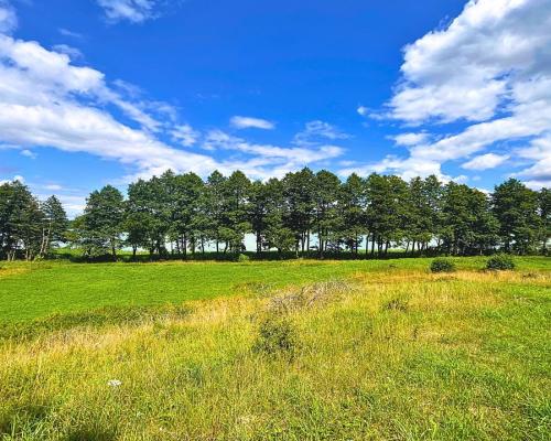 Działka budowlana z dostępem do jeziora.