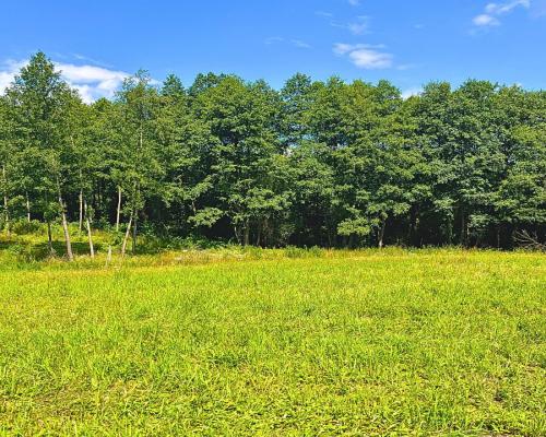 Działka budowlana z dostępem do jeziora.