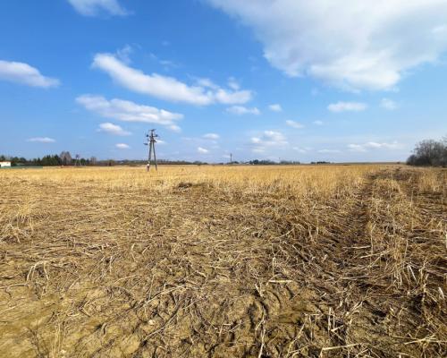 Tereny inwestycyjne w Nowym Aleksandrowie