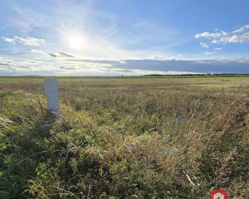 Działak budowlana blisko Narwi.