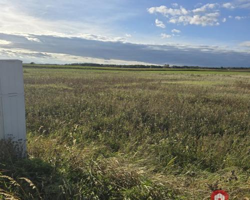 Działak budowlana blisko Narwi.