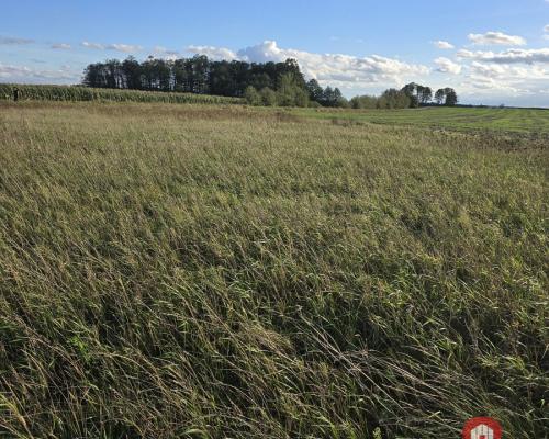 Działak budowlana blisko Narwi.