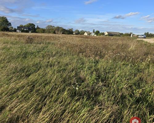 Działak budowlana blisko Narwi.