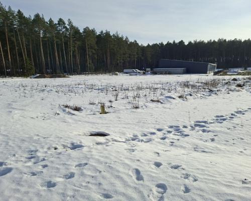 działka 4500 m2 przy DK 8