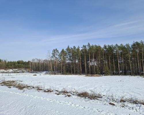 działka 4500 m2 przy DK 8