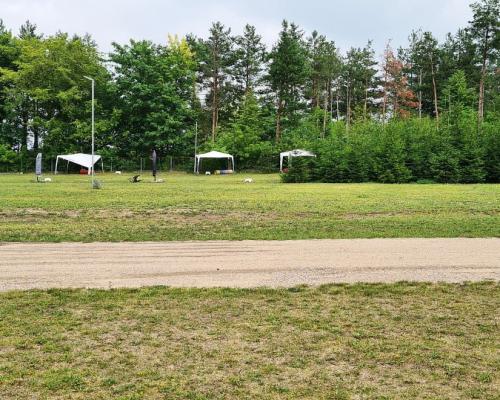 Plac 1000 m2 - 8000 m2 na Wygodzie