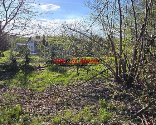 Dom do remontu z lasem.