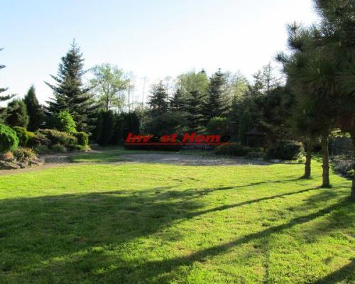 Duży lokal pod usługi.