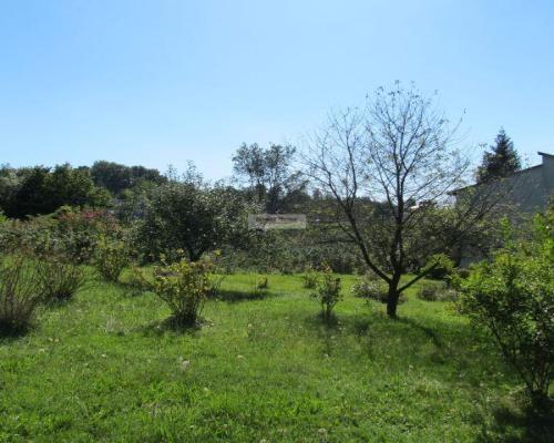 Usługowa działka na rogu Jastrzębskiej i Łużyckiej