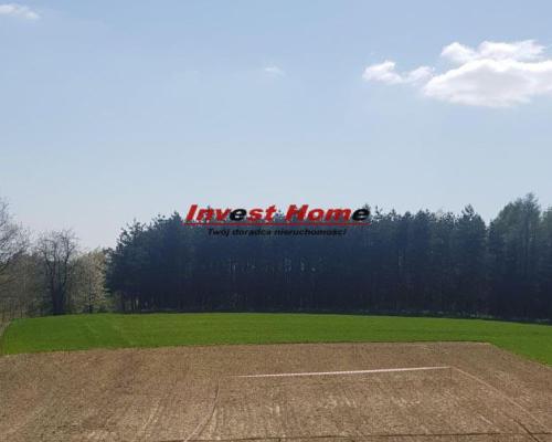 ✅ Atrakcyjna działka budowlana Gogołowa 1376 m2 ✅