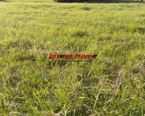 ✅Zielona działka Orzesze Woszczyce 1033m2✅