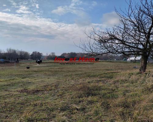 ✅ Interesująca działka budowlana Bełk 1691 m2✅