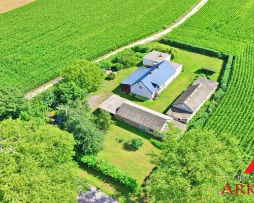 Dom z potencjałem/Bodzanowo