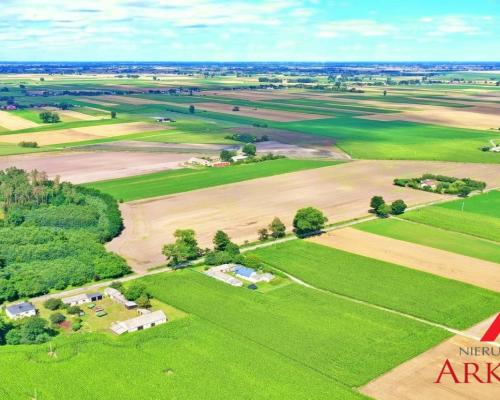 Dom z potencjałem/Bodzanowo