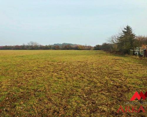 Działka  Aleksandrów Kuj. o pow.13174 m2