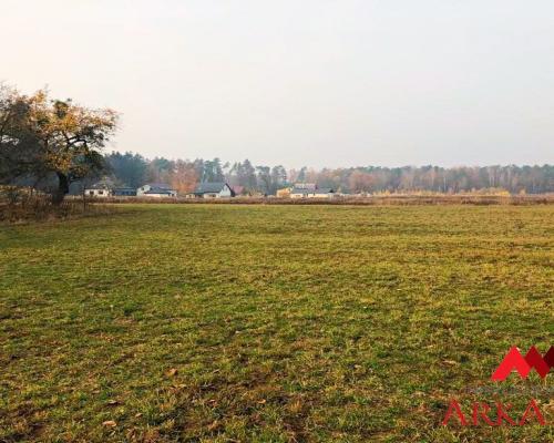 Działka  Aleksandrów Kuj. o pow.13174 m2