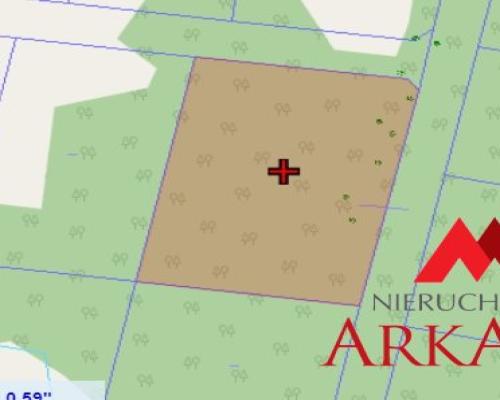 Działka/Łęg Witoszyn z warunkami zabudowy