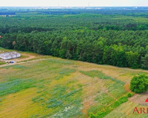 Działka na sprzedaż/Nowy Witoszyn